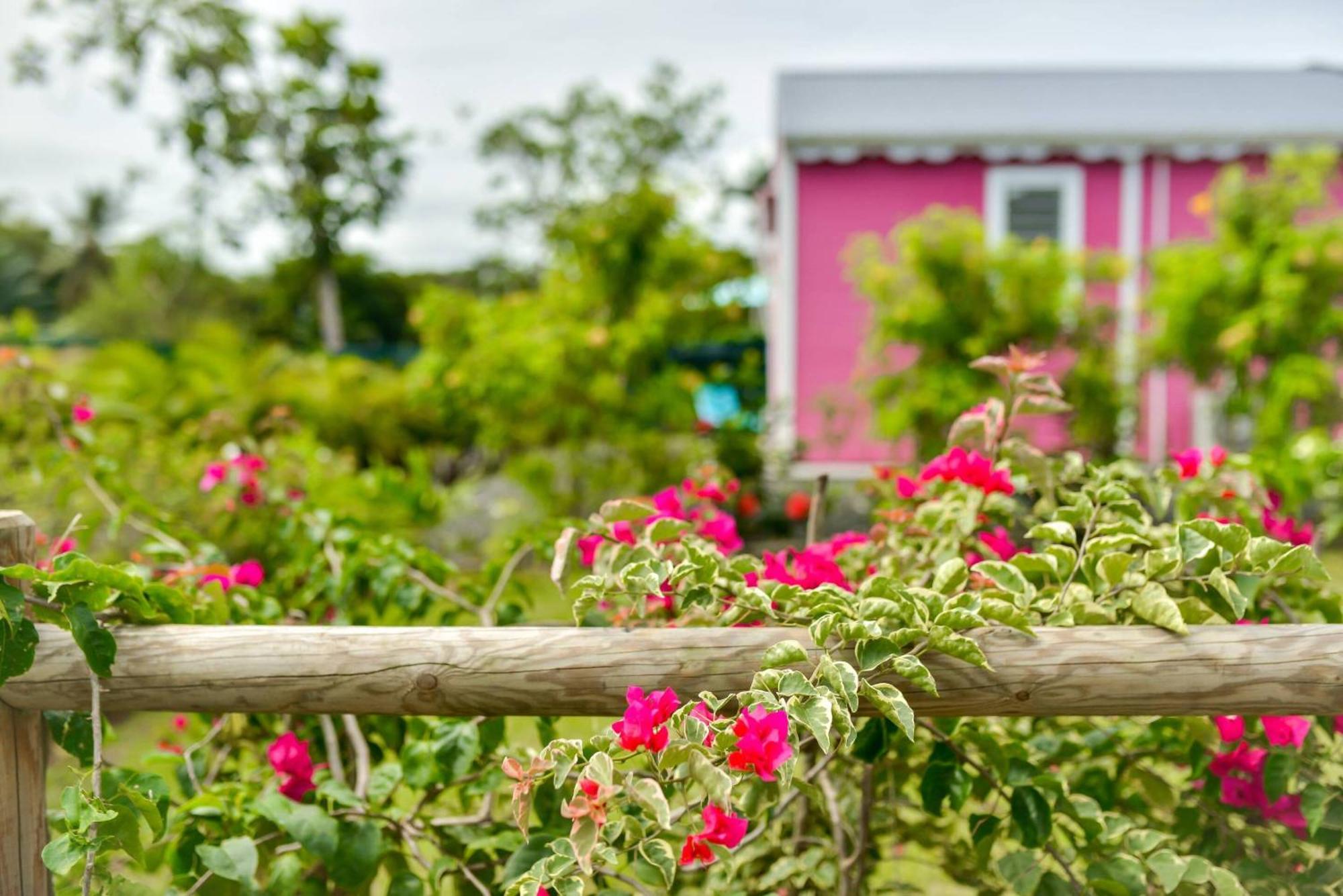 Les Jardins De Chantilly -Bungalows 4 Etoiles Avec Jardins Et Piscines Privees Baie-Mahault Rom bilde